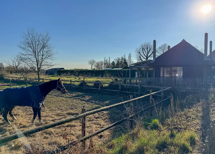 Σπίτι διακοπών De Hooiberg *